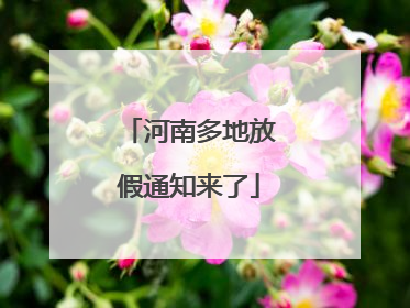 河南多地放假通知来了