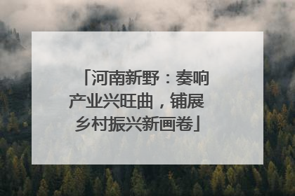 河南新野：奏响产业兴旺曲，铺展乡村振兴新画卷