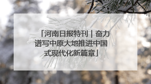 河南日报特刊｜奋力谱写中原大地推进中国式现代化新篇章