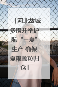 河北故城多措并举护航“三夏”生产 确保夏粮颗粒归仓