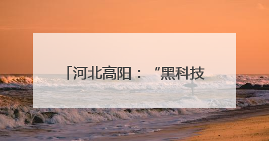 河北高阳：“黑科技”赋能夏种 跑出农业生产“加速度”