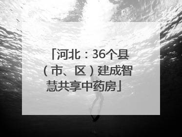河北：36个县（市、区）建成智慧共享中药房