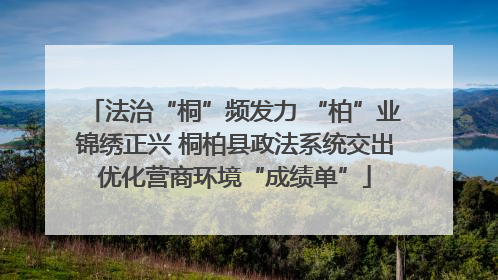 法治“桐”频发力 “柏”业锦绣正兴 桐柏县政法系统交出优化营商环境“成绩单”