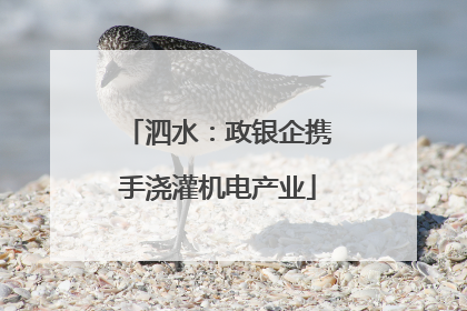 泗水：政银企携手浇灌机电产业