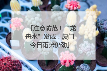 注意防范！“龙舟水”发威，厦门今日雨势仍劲
