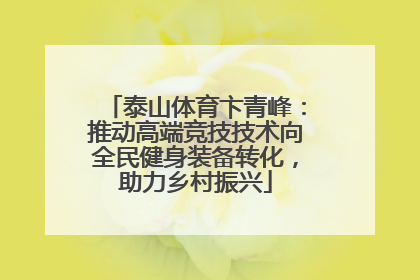 泰山体育卞青峰：推动高端竞技技术向全民健身装备转化，助力乡村振兴