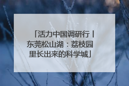 活力中国调研行丨东莞松山湖：荔枝园里长出来的科学城