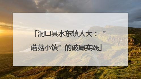 洞口县水东镇人大：“蘑菇小镇”的破局实践