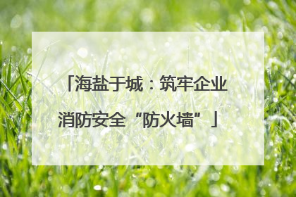海盐于城：筑牢企业消防安全“防火墙”