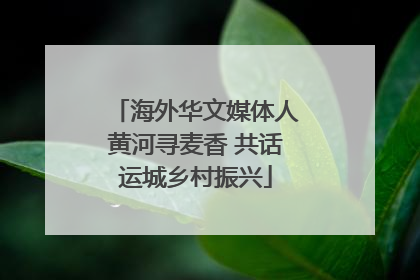海外华文媒体人黄河寻麦香 共话运城乡村振兴