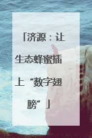 济源：让生态蜂蜜插上“数字翅膀”