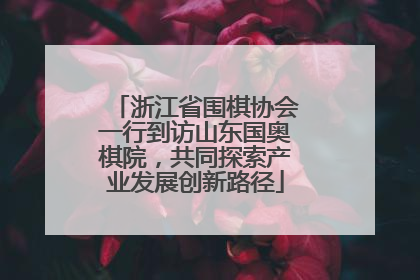 浙江省围棋协会一行到访山东国奥棋院，共同探索产业发展创新路径