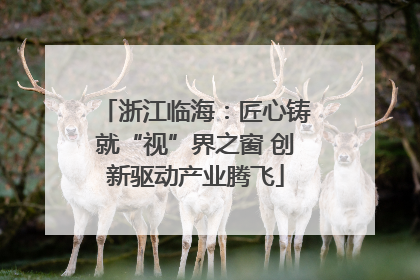 浙江临海：匠心铸就“视”界之窗 创新驱动产业腾飞