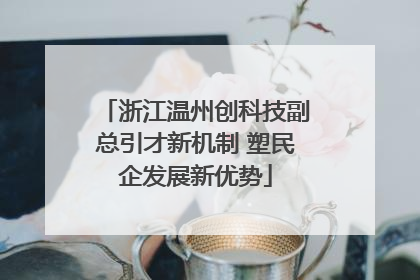 浙江温州创科技副总引才新机制 塑民企发展新优势