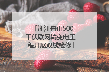 浙江舟山500千伏联网输变电工程开展双线检修