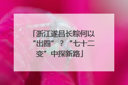 浙江遂昌长粽何以“出圈”？“七十二变”中探新路
