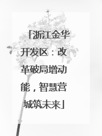 浙江金华开发区：改革破局增动能，智慧营城筑未来