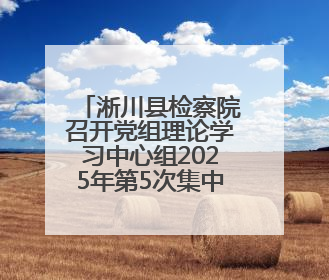 淅川县检察院召开党组理论学习中心组2025年第5次集中学习会议