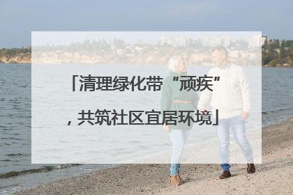 清理绿化带“顽疾”，共筑社区宜居环境