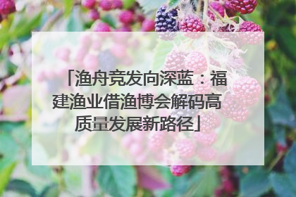 渔舟竞发向深蓝：福建渔业借渔博会解码高质量发展新路径