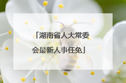 湖南省人大常委会最新人事任免