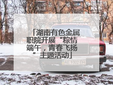 湖南有色金属职院开展“粽情端午，青春飞扬”主题活动