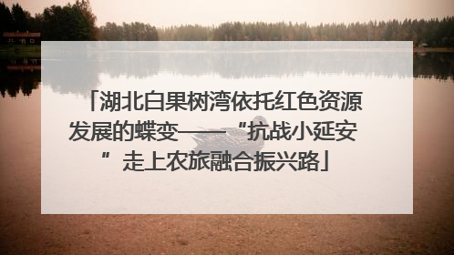 湖北白果树湾依托红色资源发展的蝶变——“抗战小延安”走上农旅融合振兴路