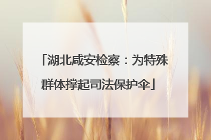 湖北咸安检察：为特殊群体撑起司法保护伞