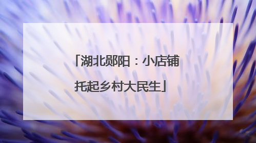 湖北郧阳：小店铺托起乡村大民生