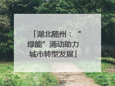 湖北随州：“绿能”涌动助力城市转型发展