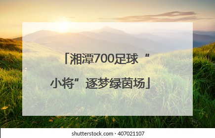 湘潭700足球“小将”逐梦绿茵场