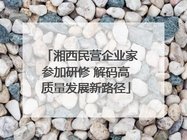 湘西民营企业家参加研修 解码高质量发展新路径