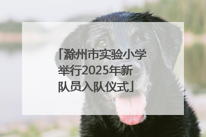 滁州市实验小学举行2025年新队员入队仪式