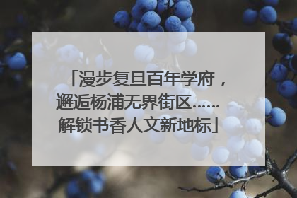 漫步复旦百年学府，邂逅杨浦无界街区……解锁书香人文新地标