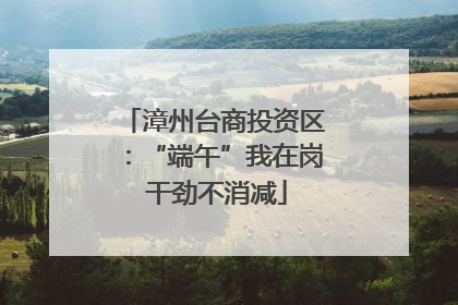 漳州台商投资区：“端午”我在岗 干劲不消减