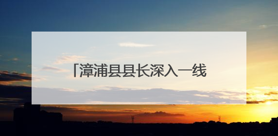 漳浦县县长深入一线调研荔枝产销工作