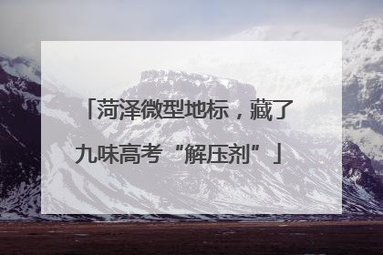 菏泽微型地标，藏了九味高考“解压剂”