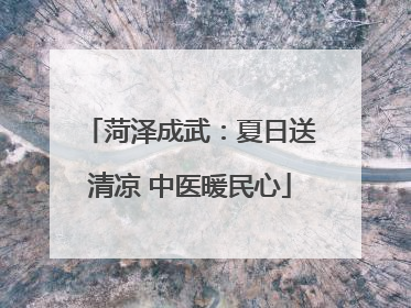 菏泽成武：夏日送清凉 中医暖民心