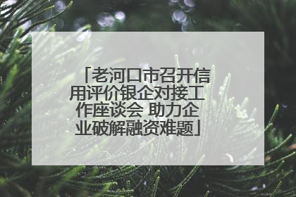 老河口市召开信用评价银企对接工作座谈会 助力企业破解融资难题