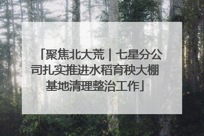 聚焦北大荒｜七星分公司扎实推进水稻育秧大棚基地清理整治工作
