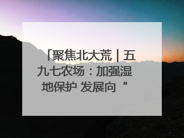 聚焦北大荒｜五九七农场：加强湿地保护 发展向“绿”而行