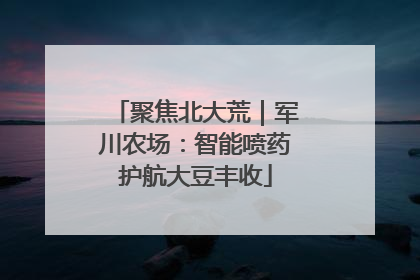 聚焦北大荒｜军川农场：智能喷药护航大豆丰收