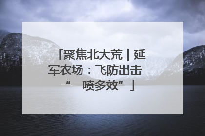 聚焦北大荒｜延军农场：飞防出击 “一喷多效”