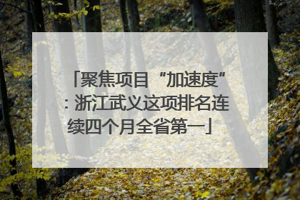 聚焦项目“加速度”：浙江武义这项排名连续四个月全省第一