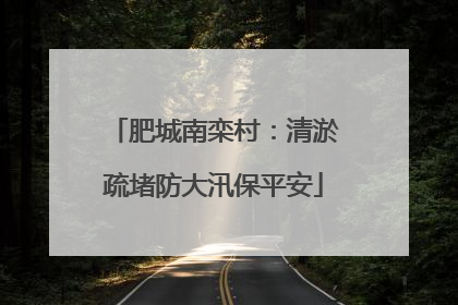 肥城南栾村：清淤疏堵防大汛保平安