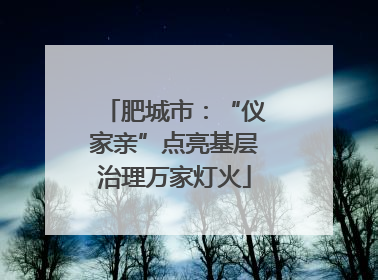 肥城市：“仪家亲”点亮基层治理万家灯火