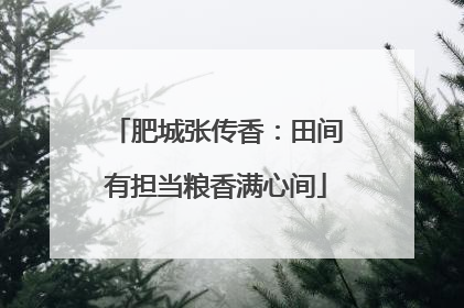 肥城张传香：田间有担当粮香满心间