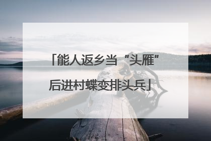 能人返乡当“头雁” 后进村蝶变排头兵