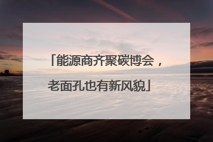 能源商齐聚碳博会，老面孔也有新风貌
