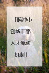 腾冲市创新干部人才流动机制